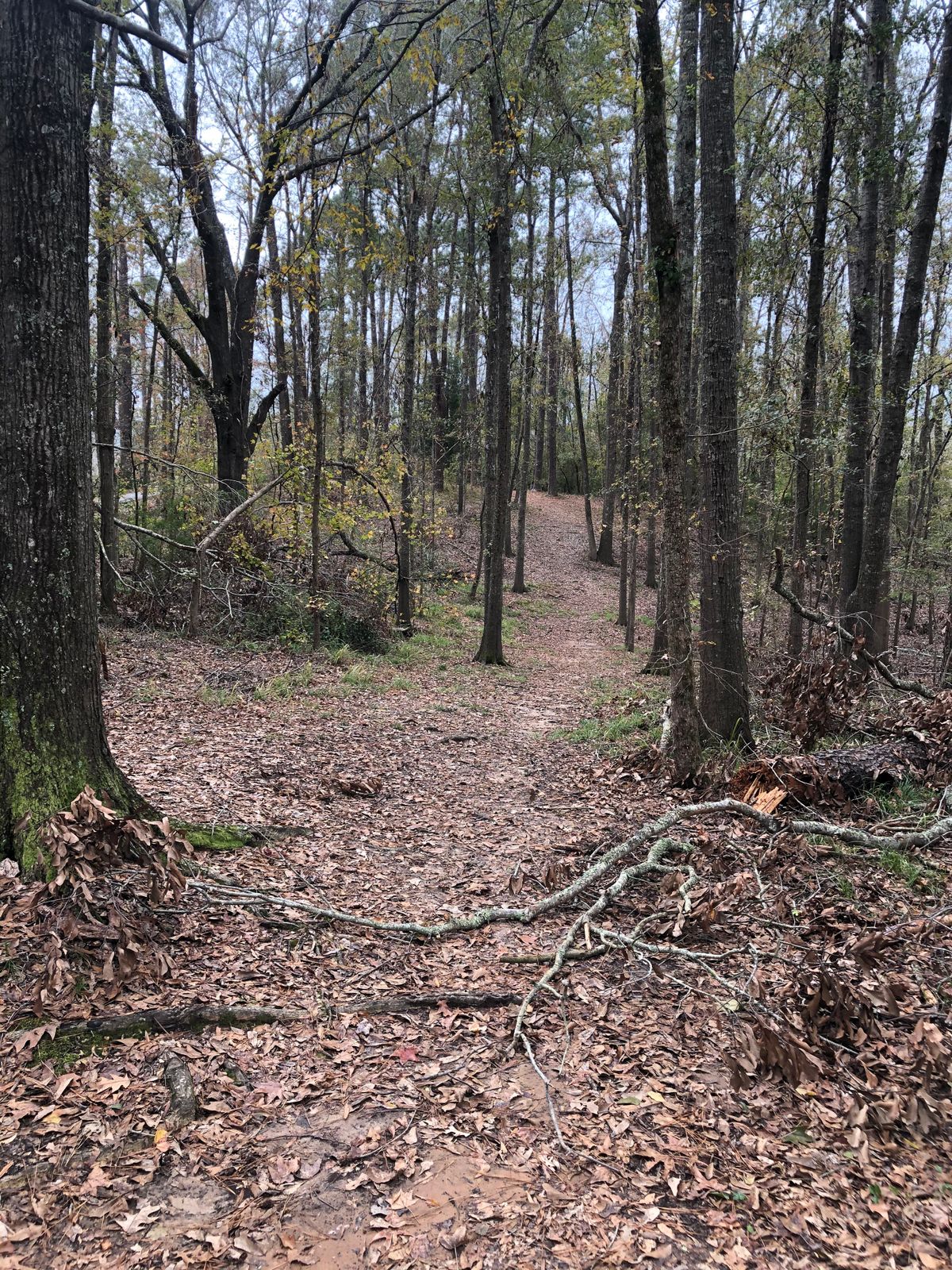 Hole 8
