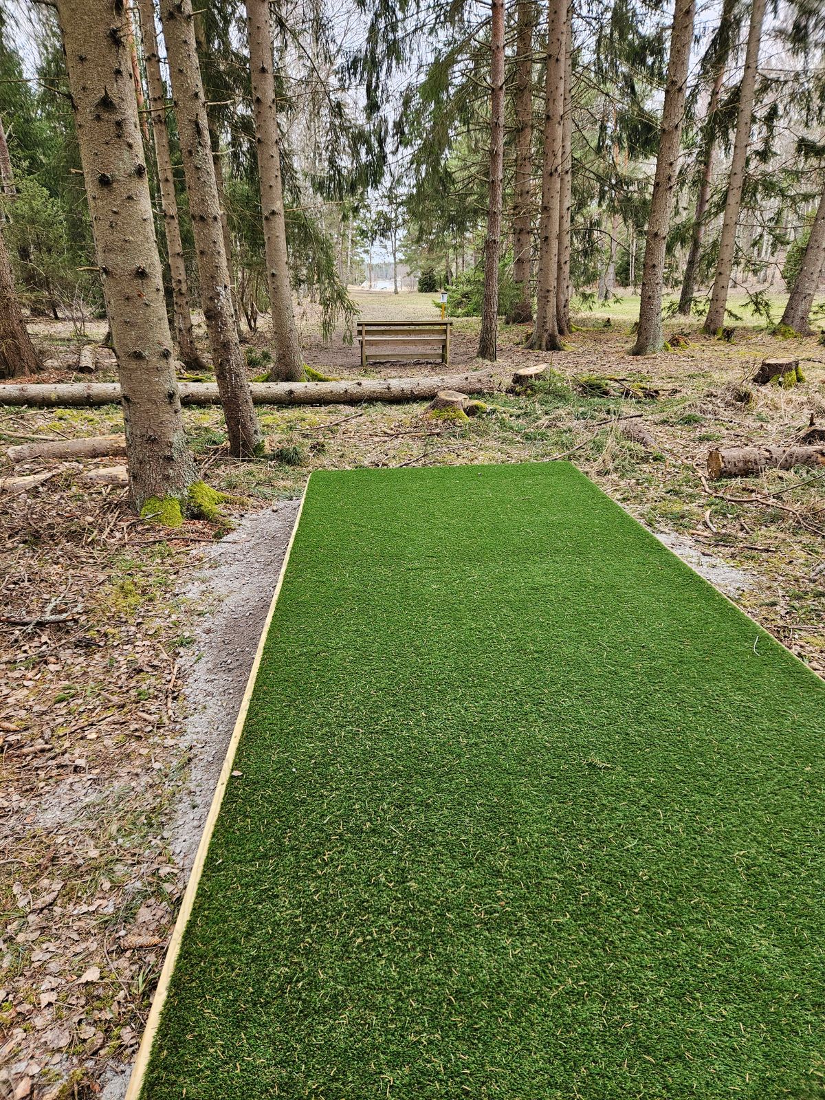 Ny tee hål 2. Nu en grymt svår birdie.