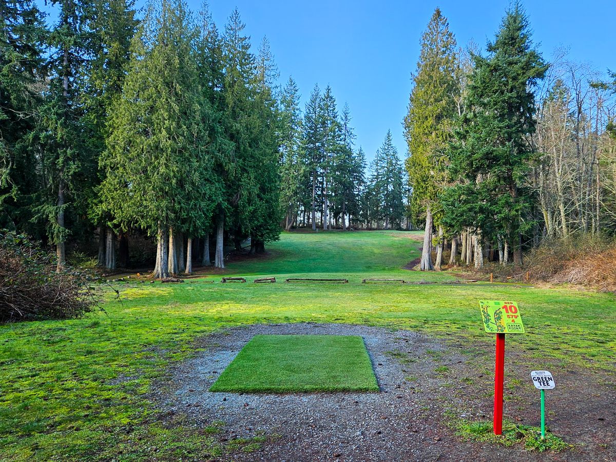 Hole 10 tee pad