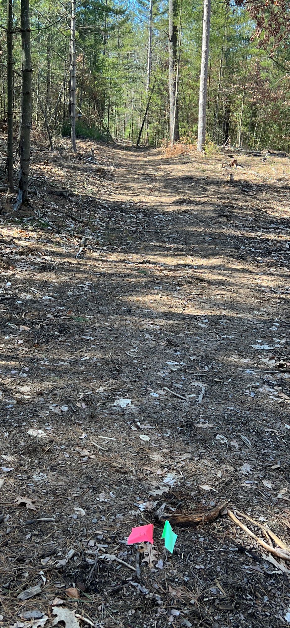 Hole 9 Pin