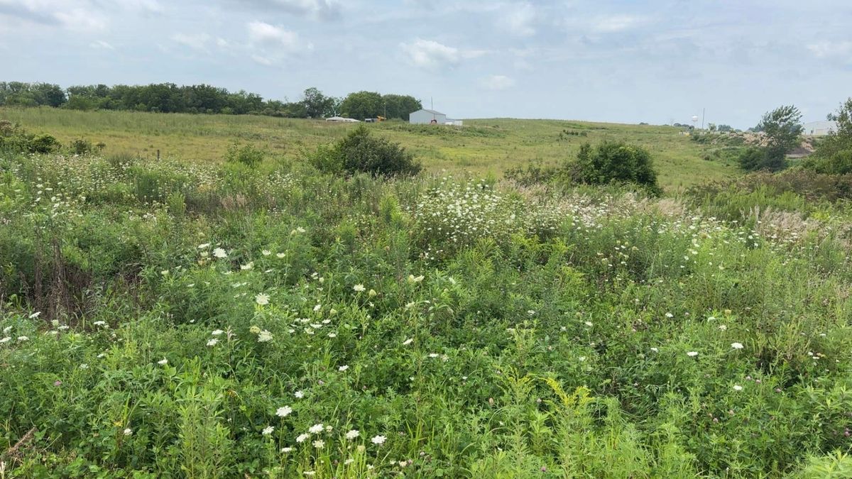 Hole 1 rough (right of short pin)