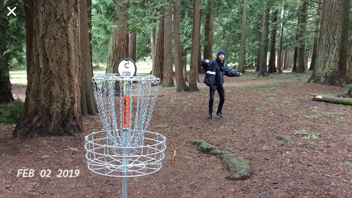 Basket and fairway on hole #5