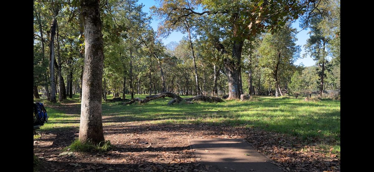 Hole 9