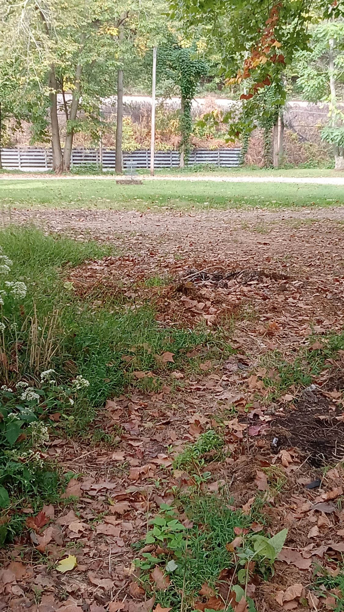 Hole 15 (13)