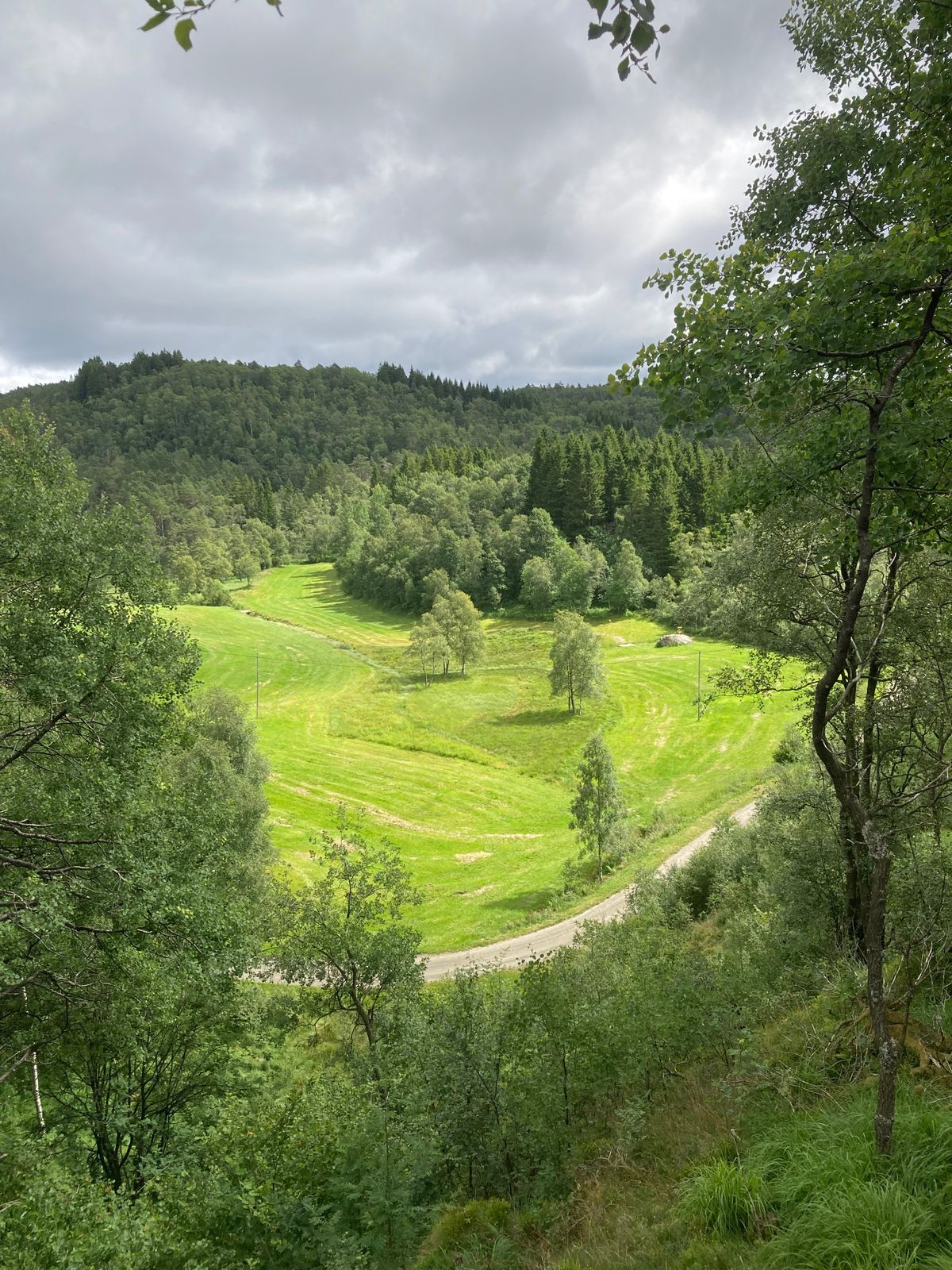 Fairway Hole 7, 8, 9