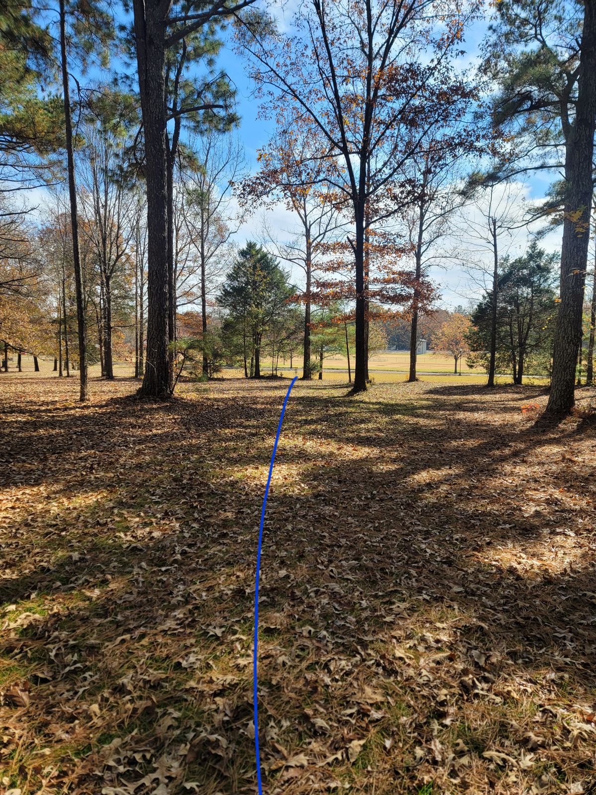 Hole 15
Long 216
