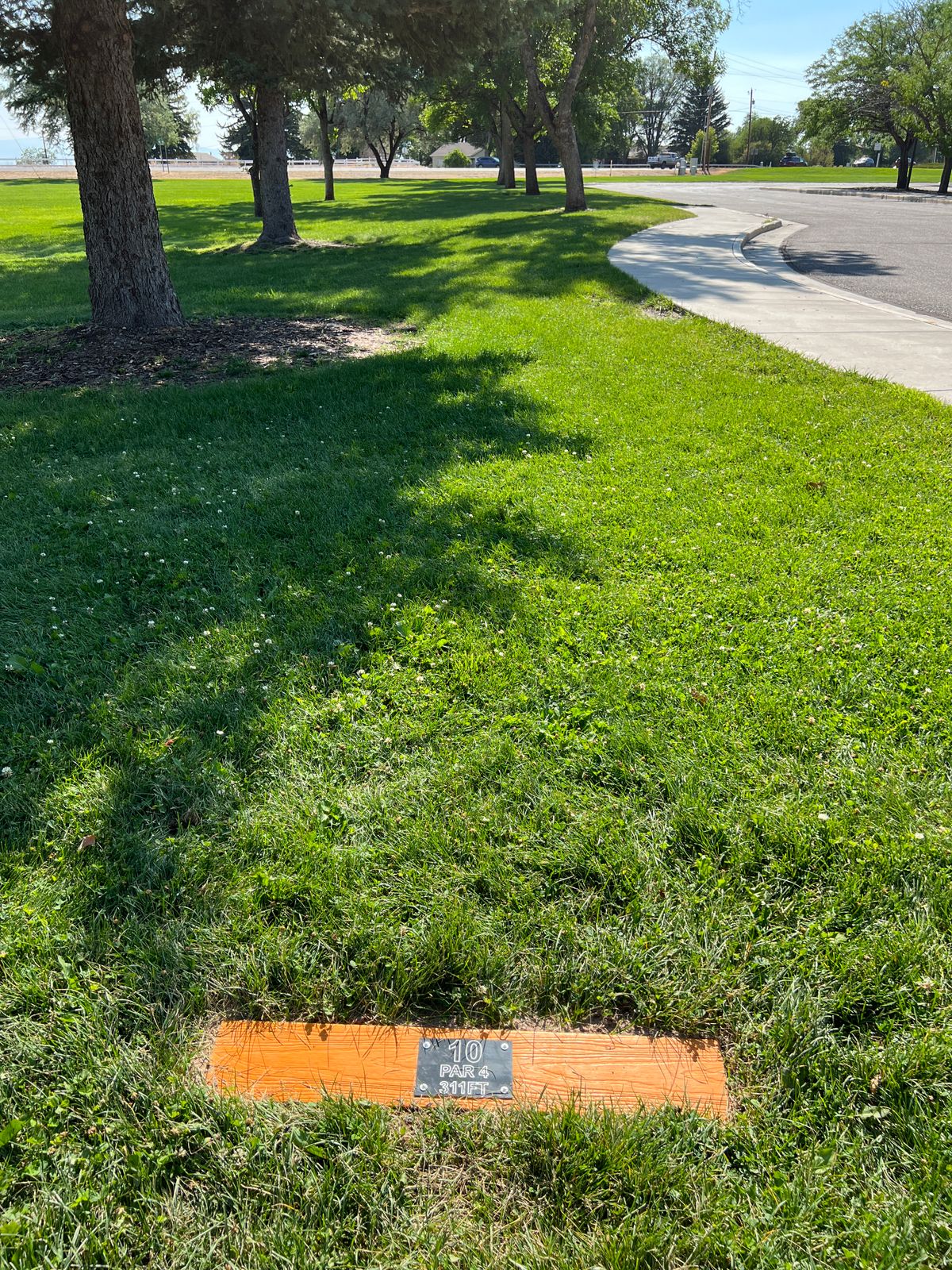 Hole 10 tee