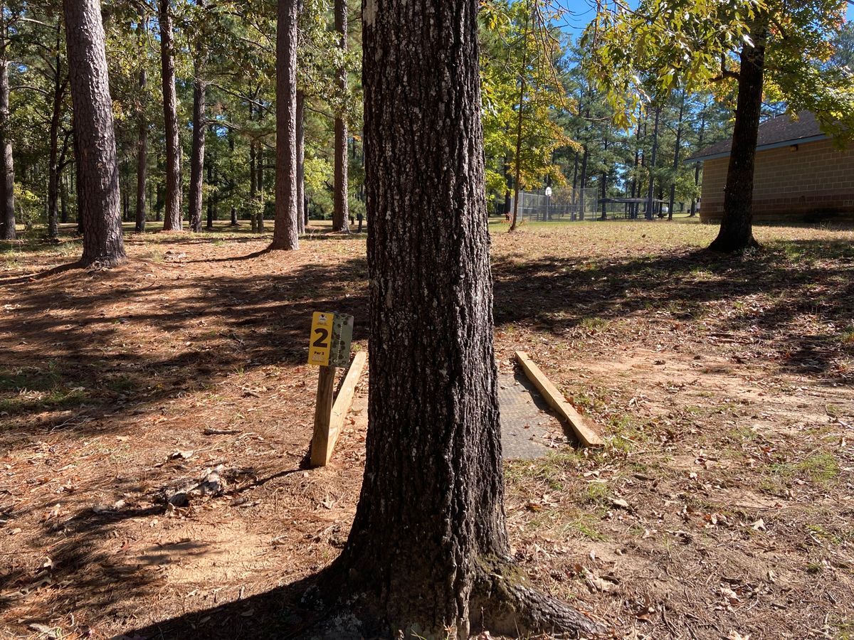Hole 2 Tee