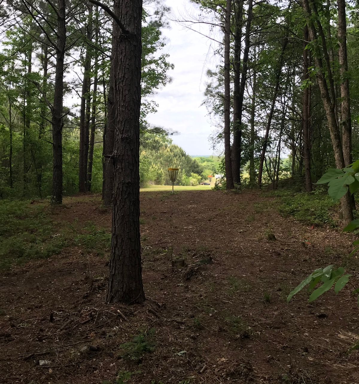Hole 8 mid fairway