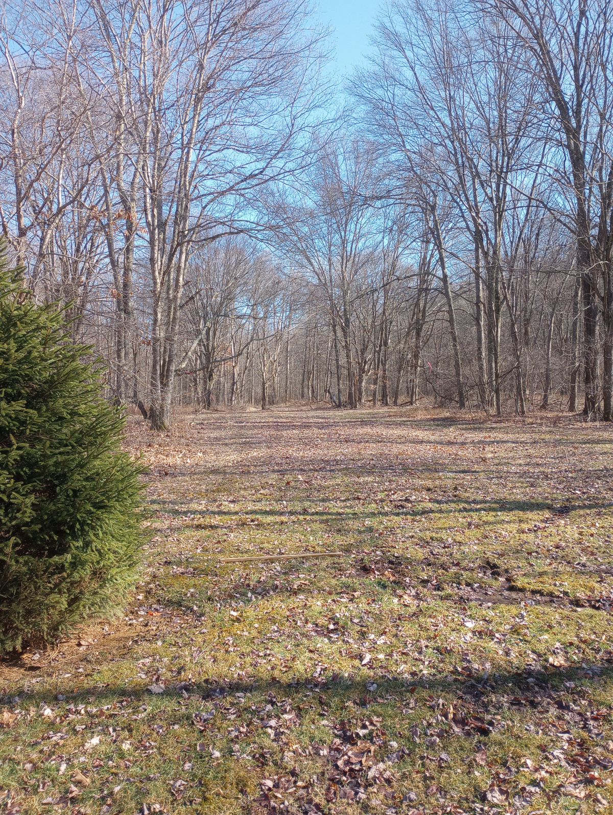 Hole 7 white tee