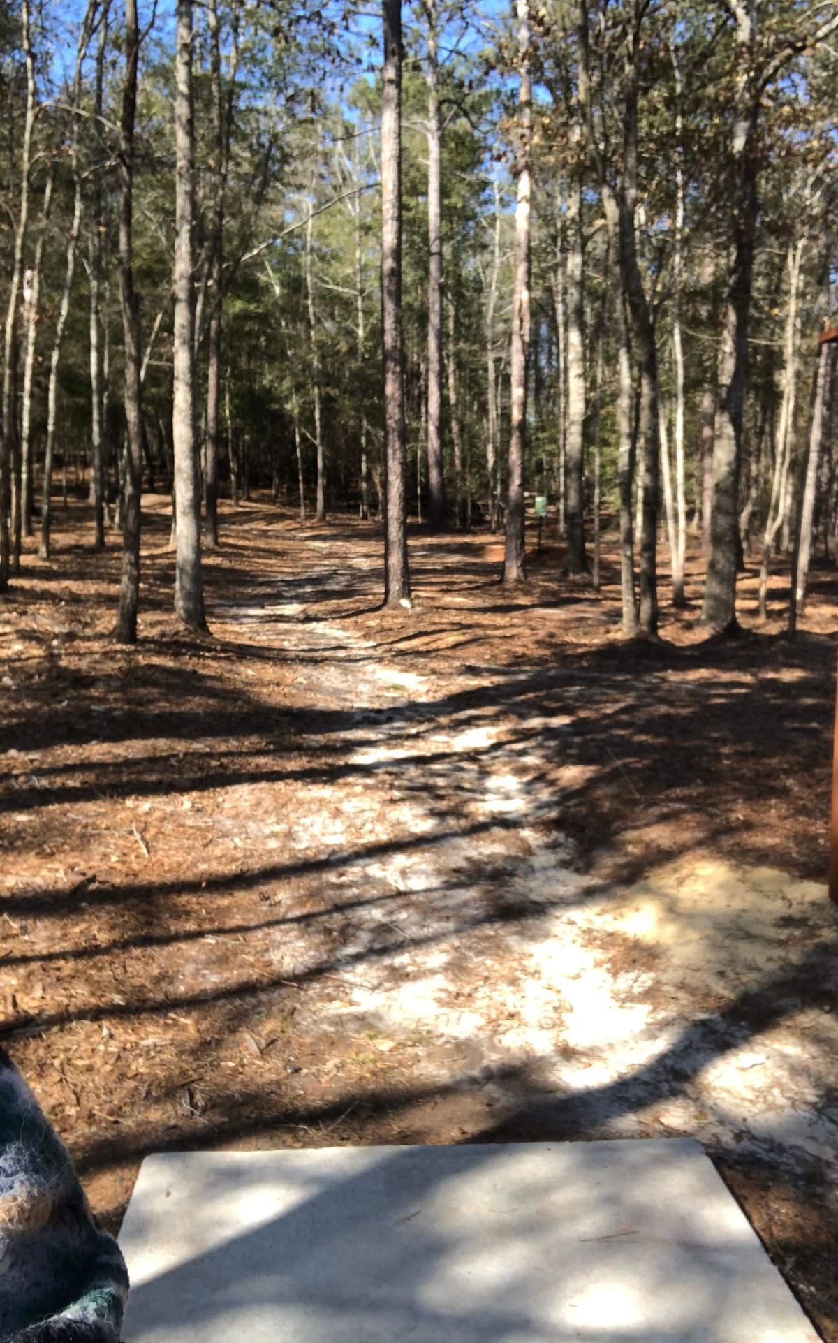hole 1 | longs