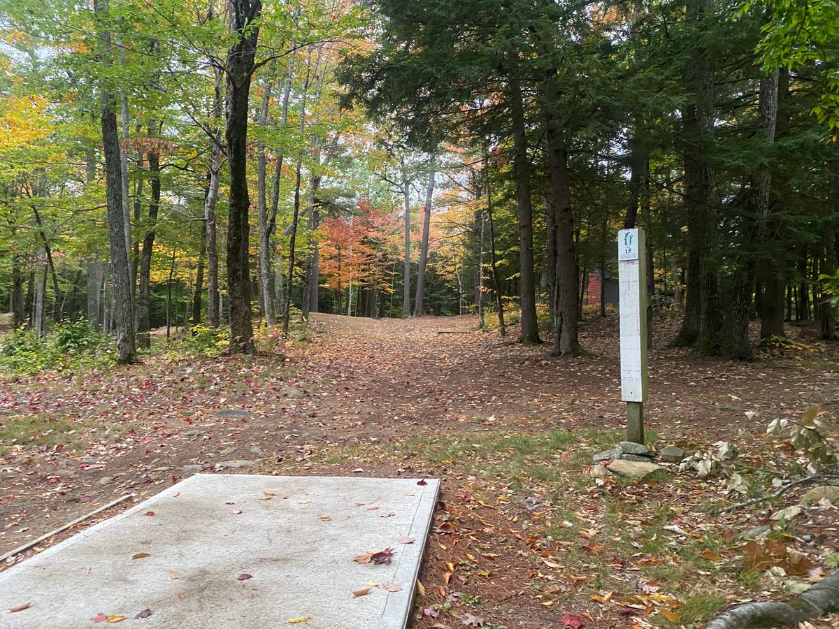 Teebox 15