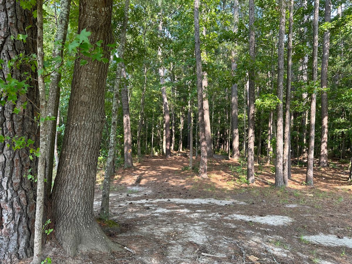 Hole 10 Fairway