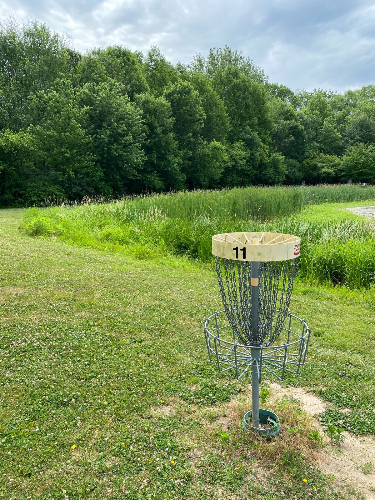 Hole 11 (Reverse)