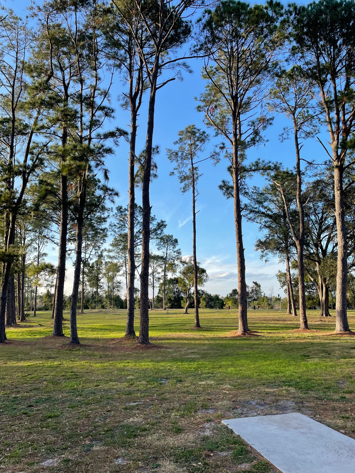 Hole 15
