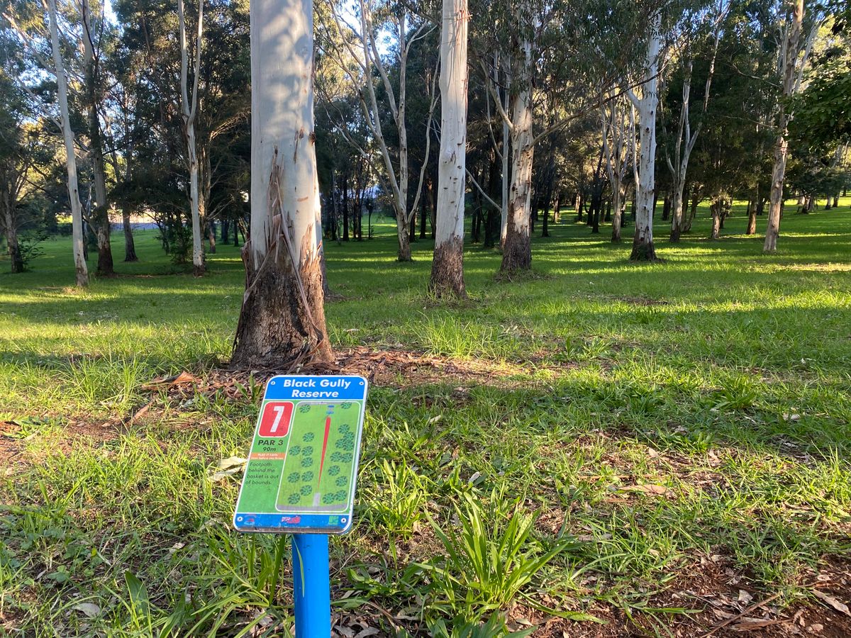 Hole 7 Straight down the line.