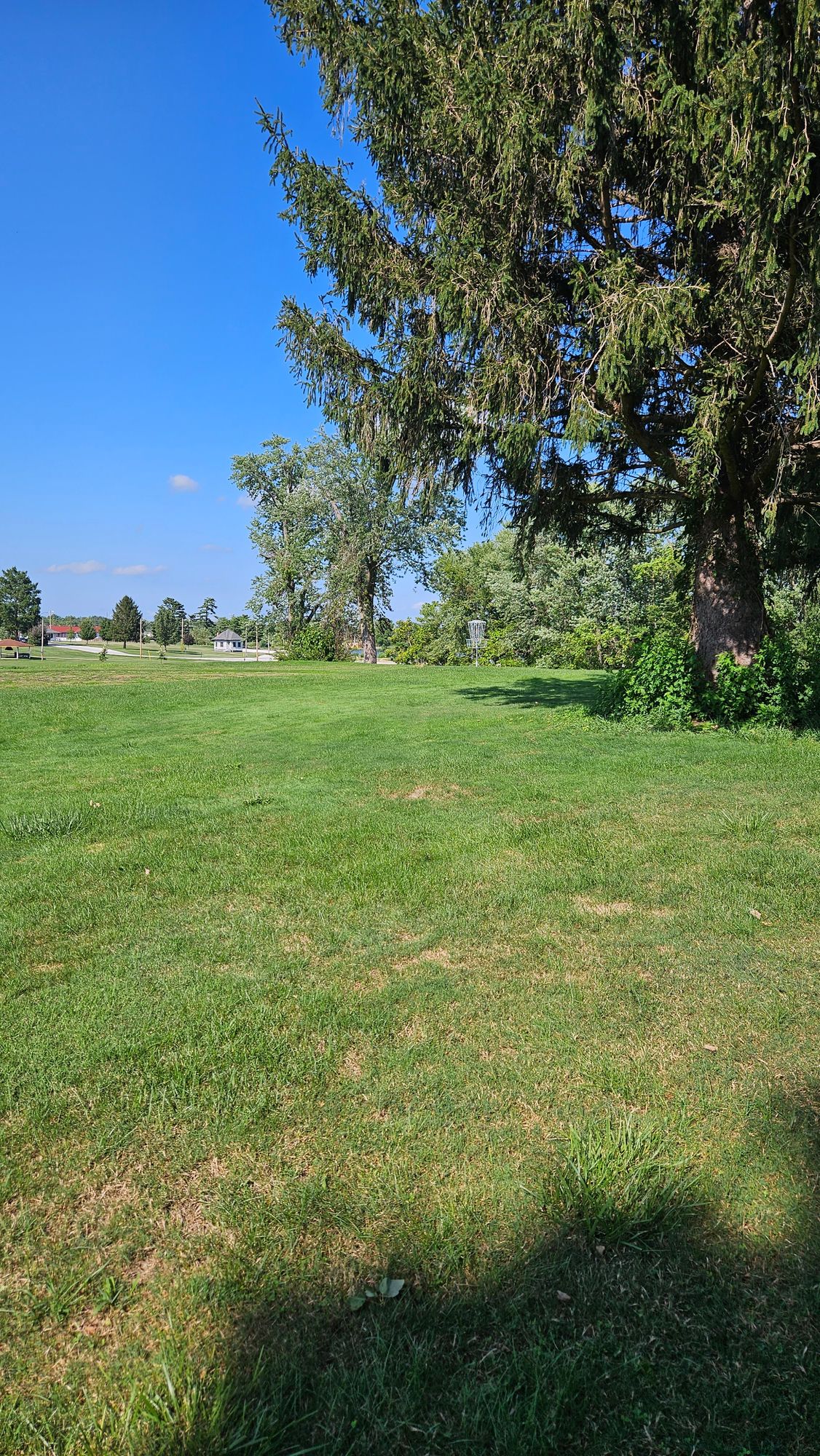 Hole 12 Basket