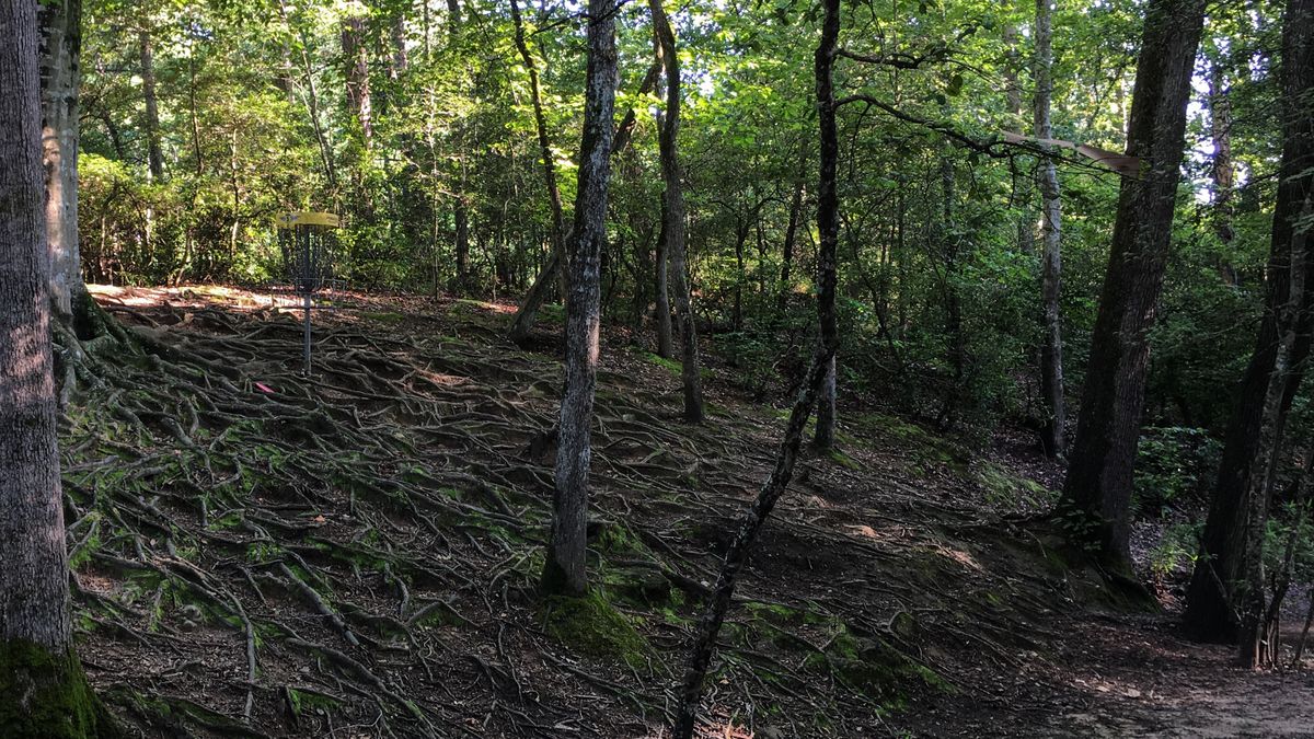 Hole 5