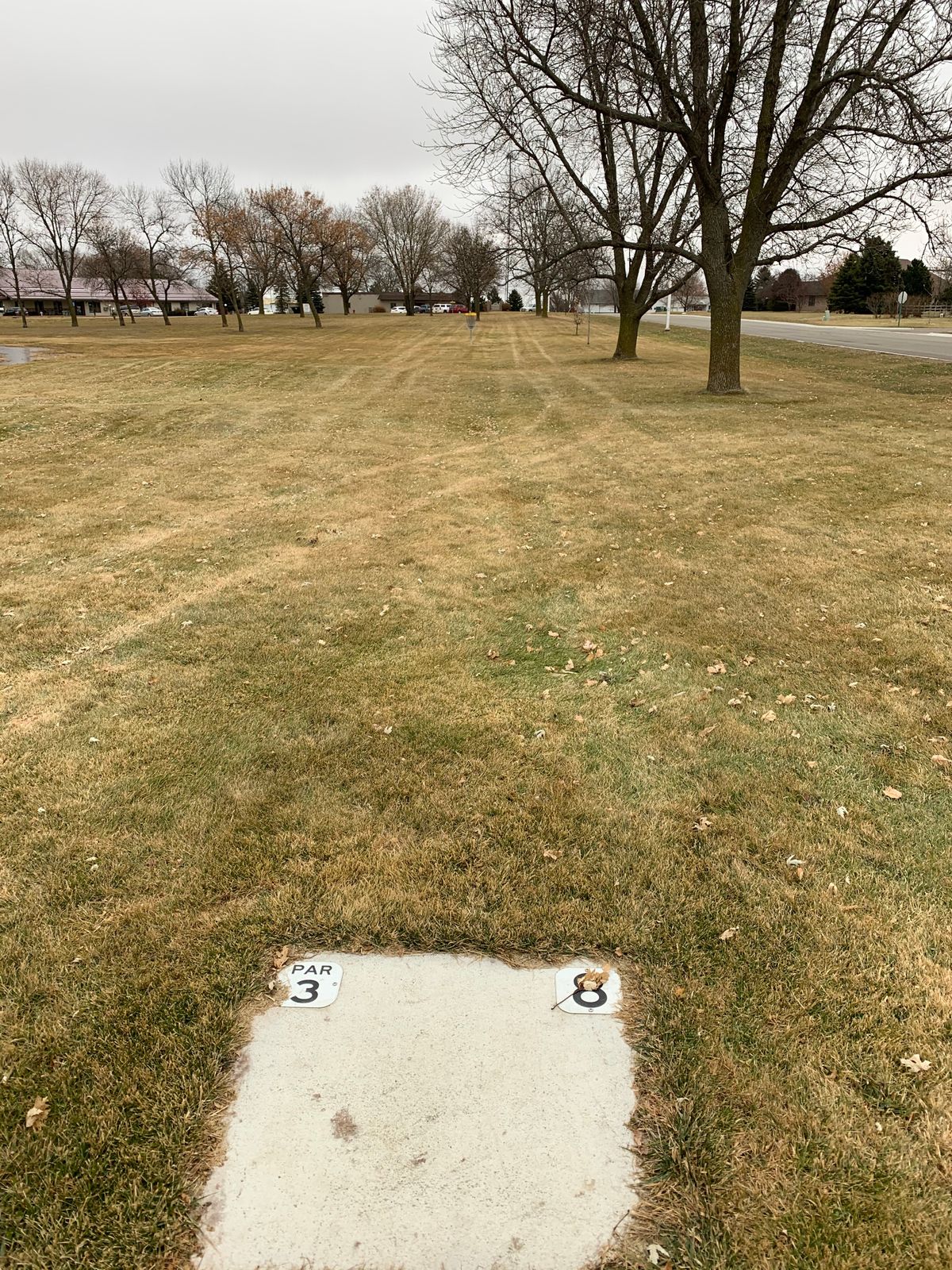 Tee #8