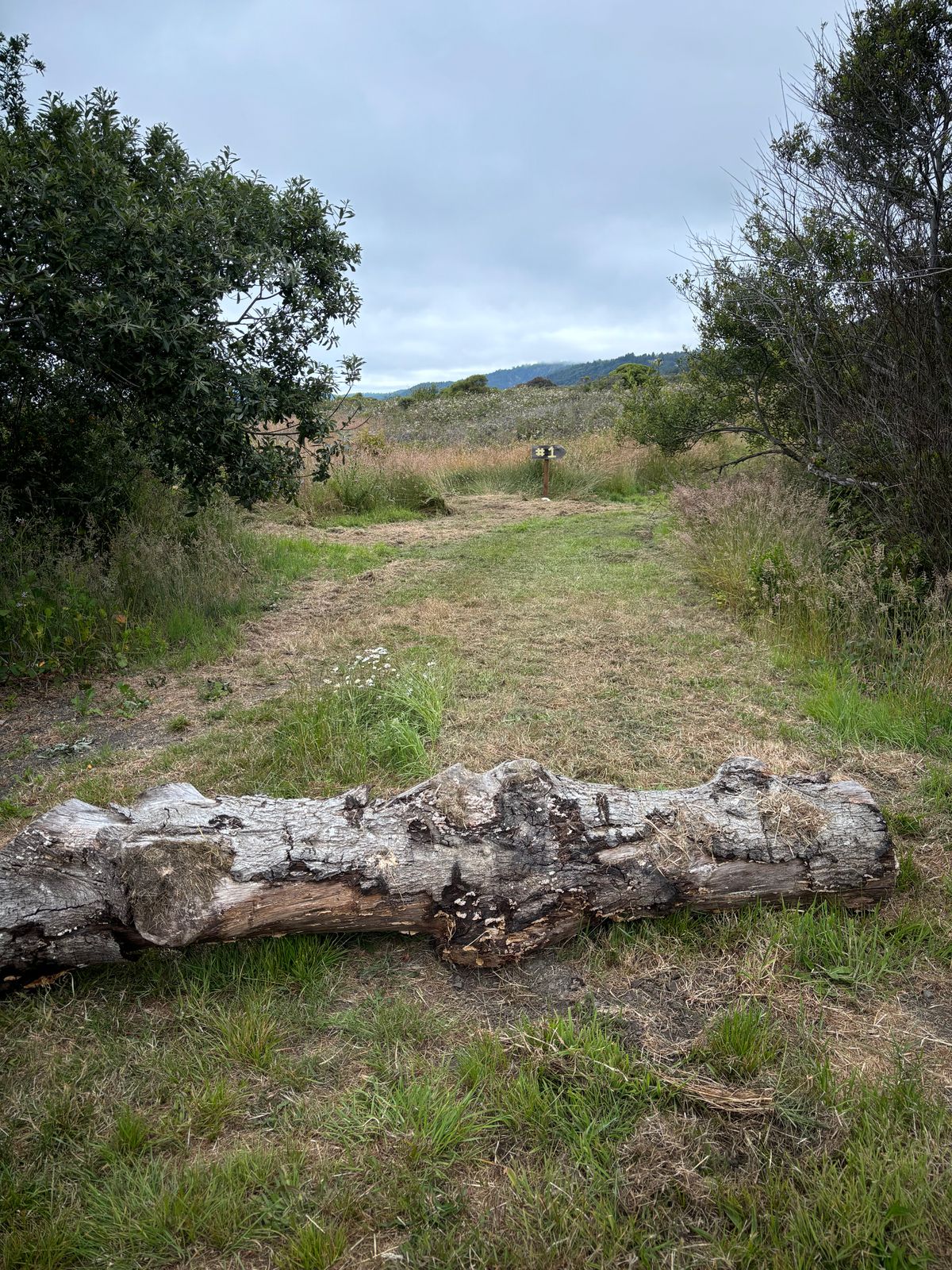 Course entry.