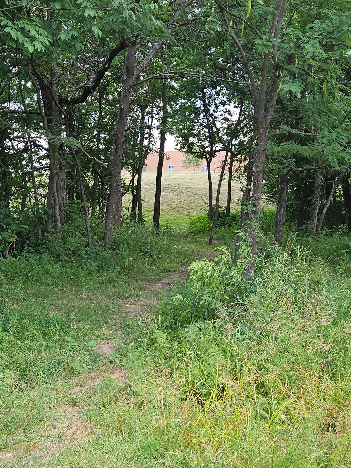 Hole 14