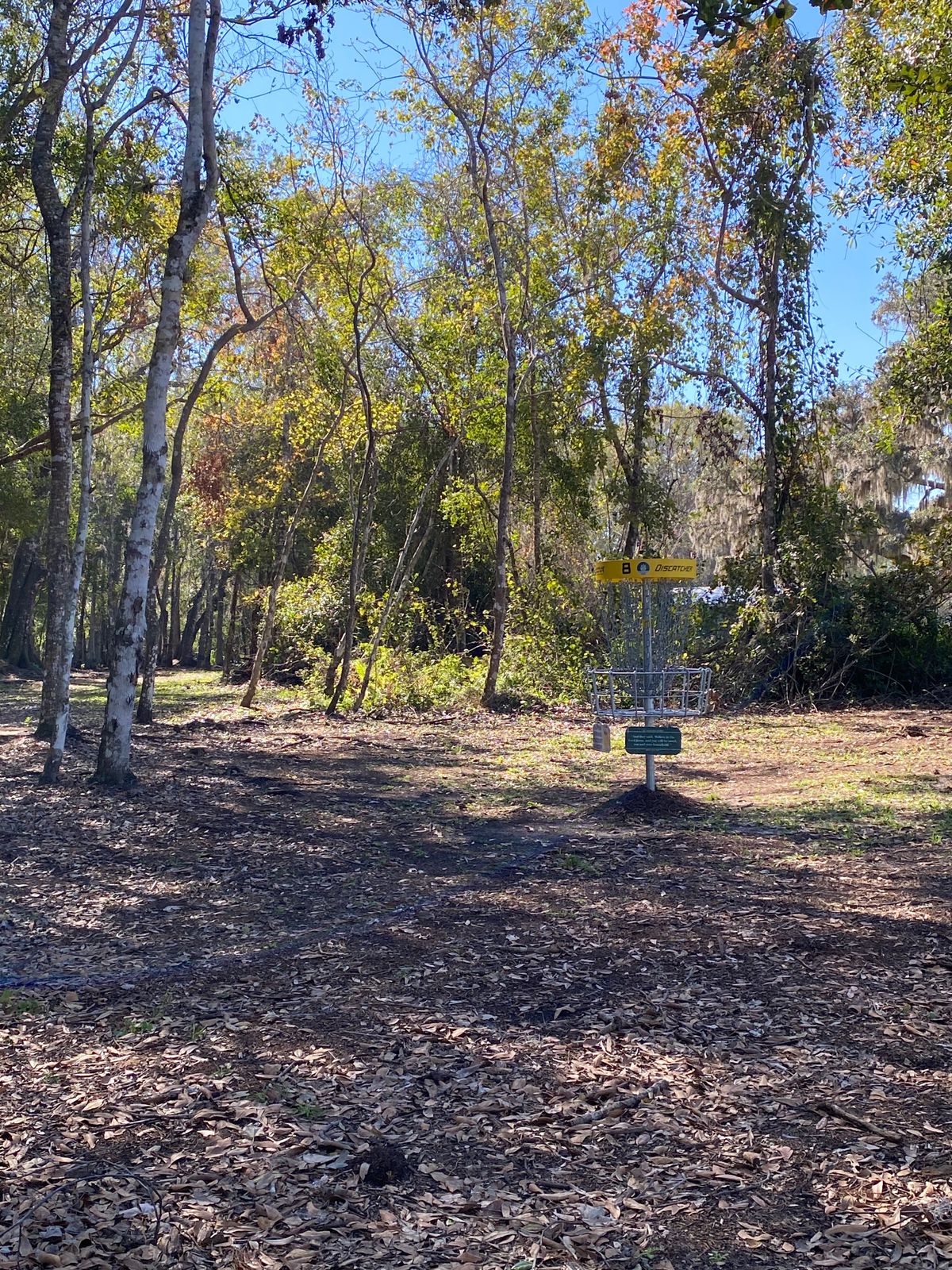 Hole 8 basket.