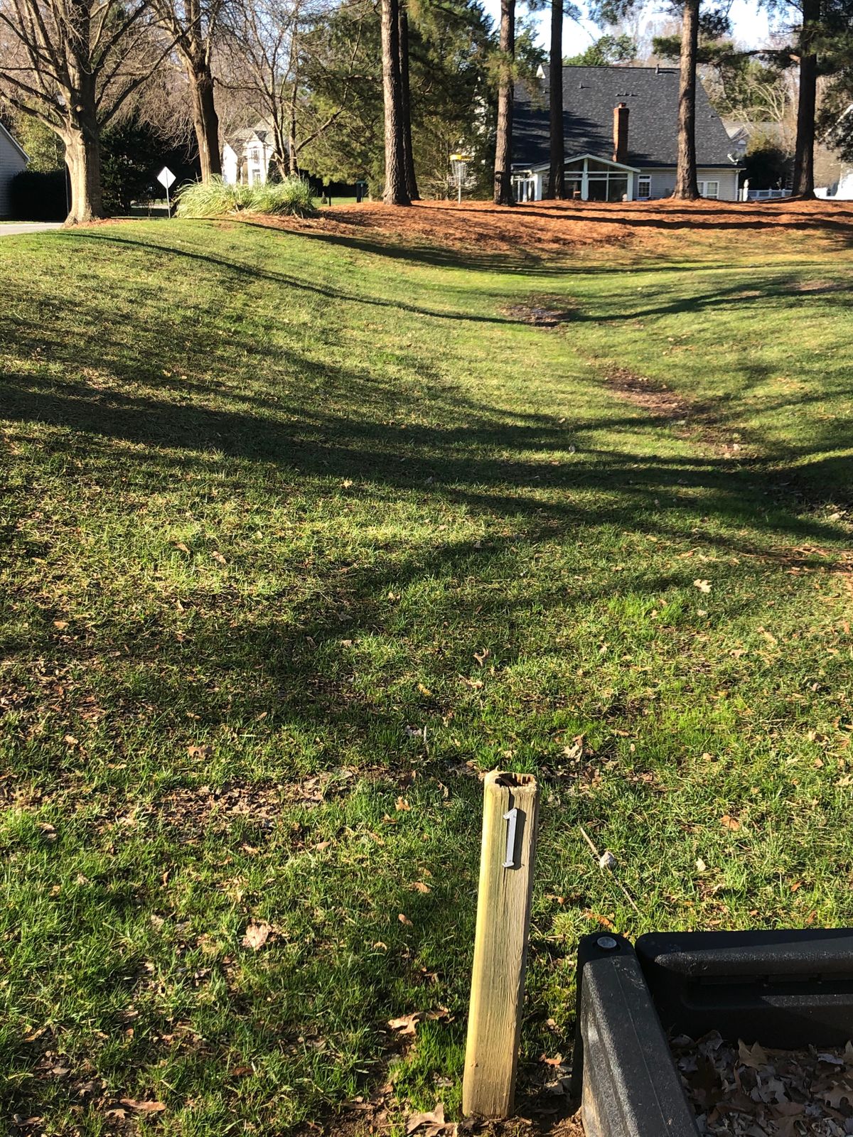 #1 tee