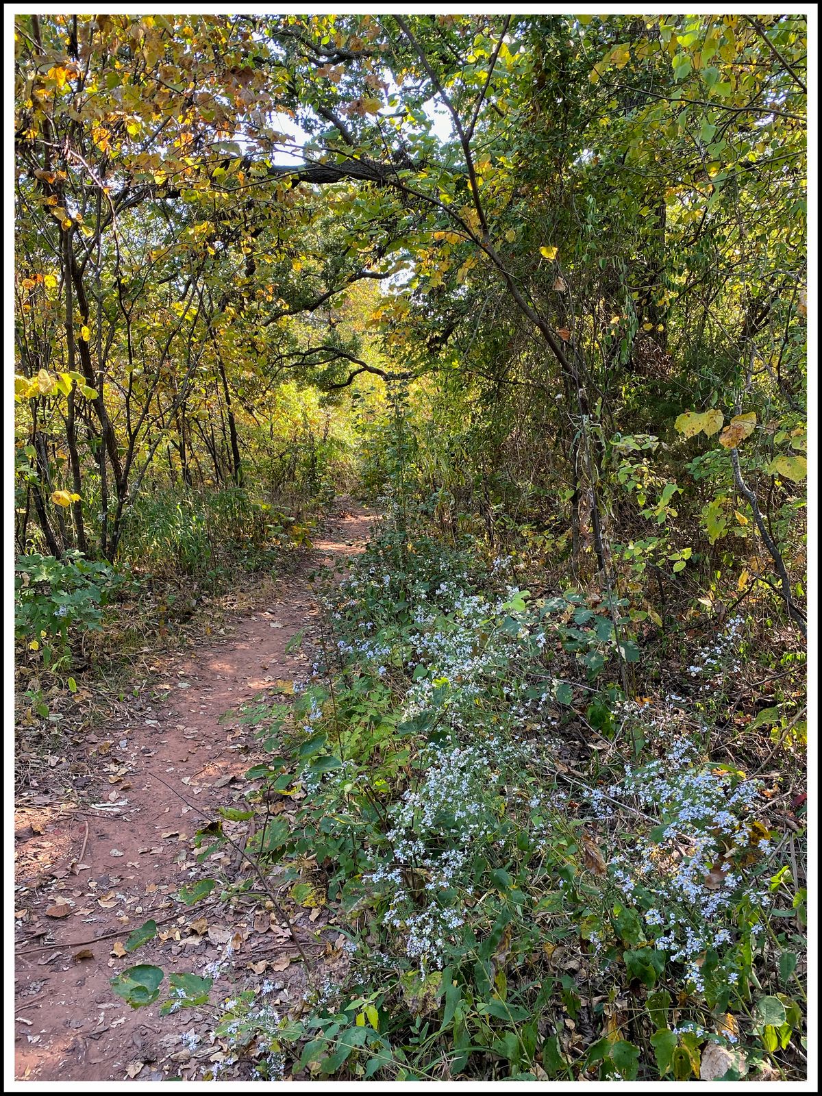 Autumn path between #9 & #10