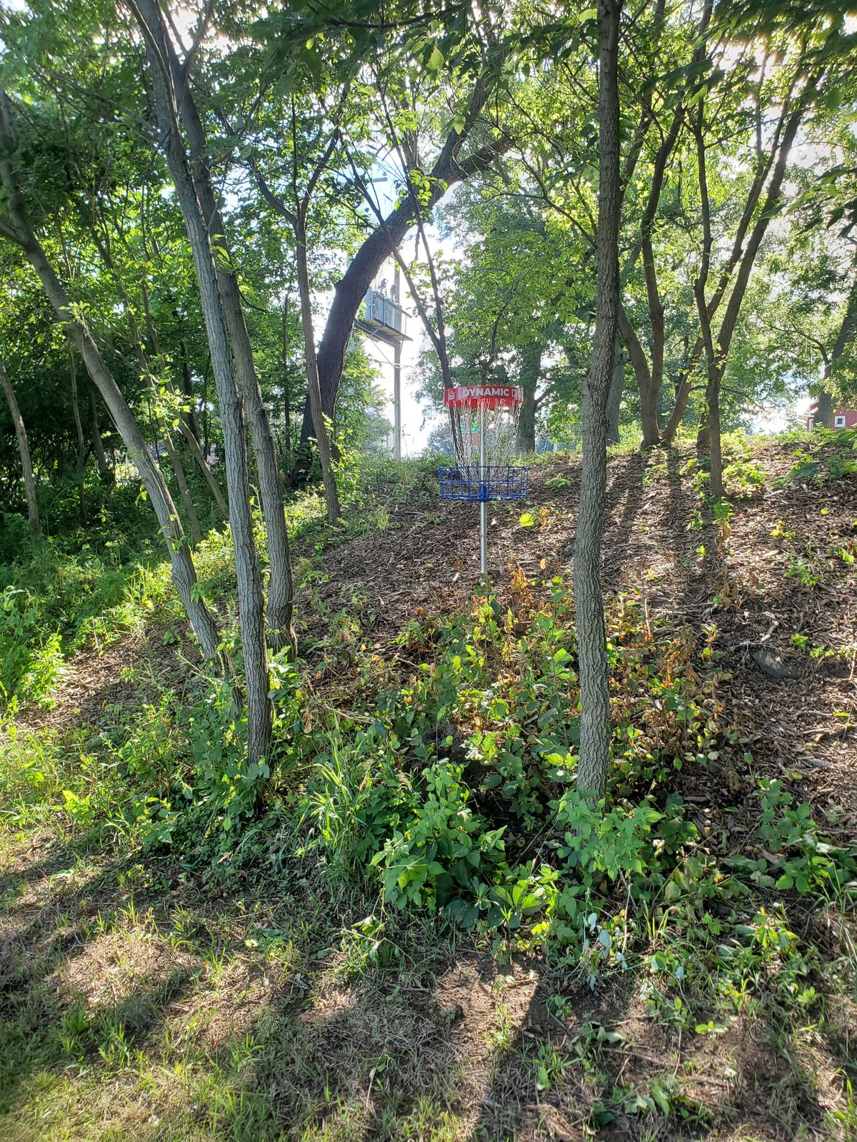 Hole 1 basket