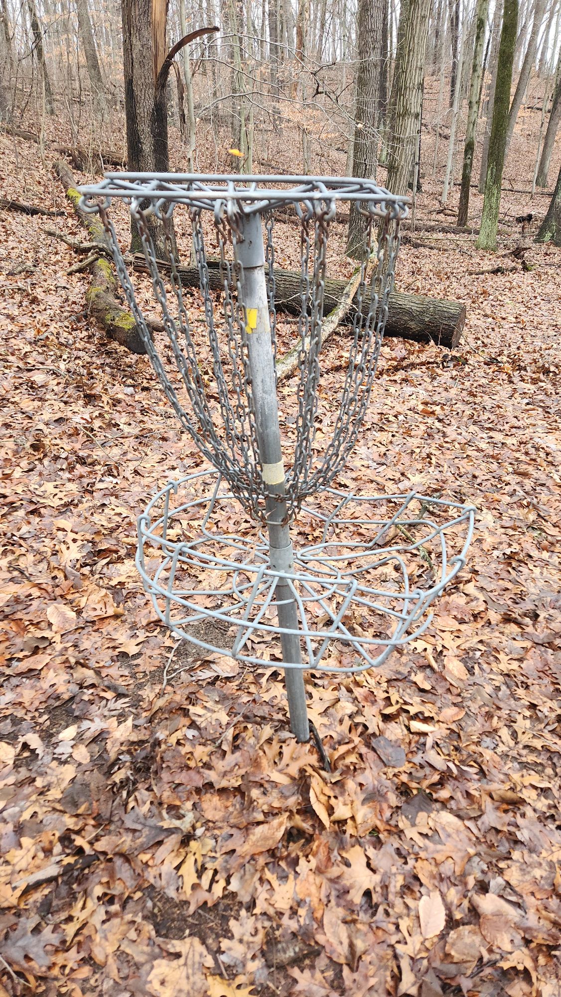Salvador Dali's Melting Basket