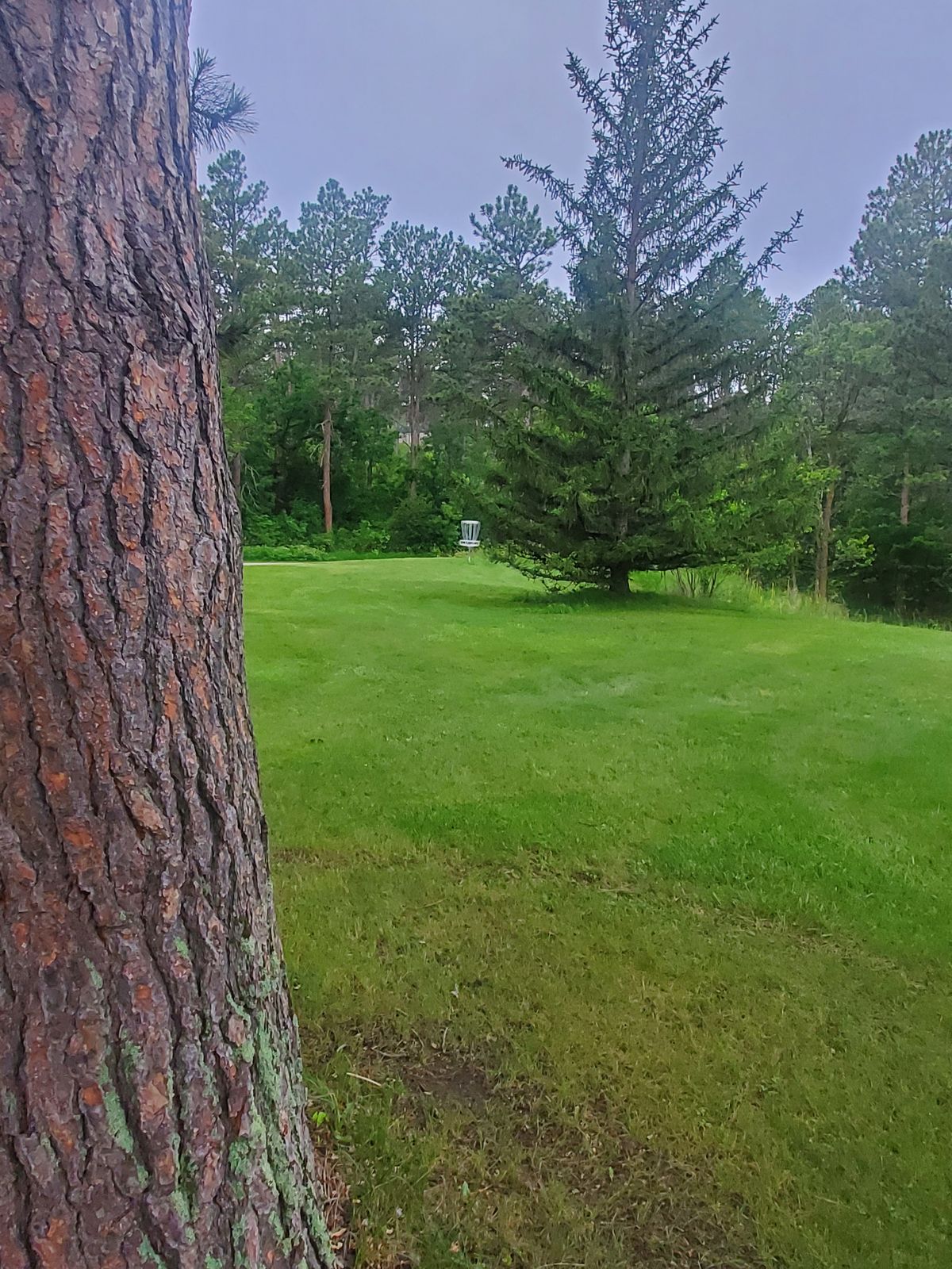 Hole 5
