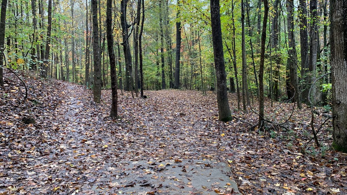 Hole 5