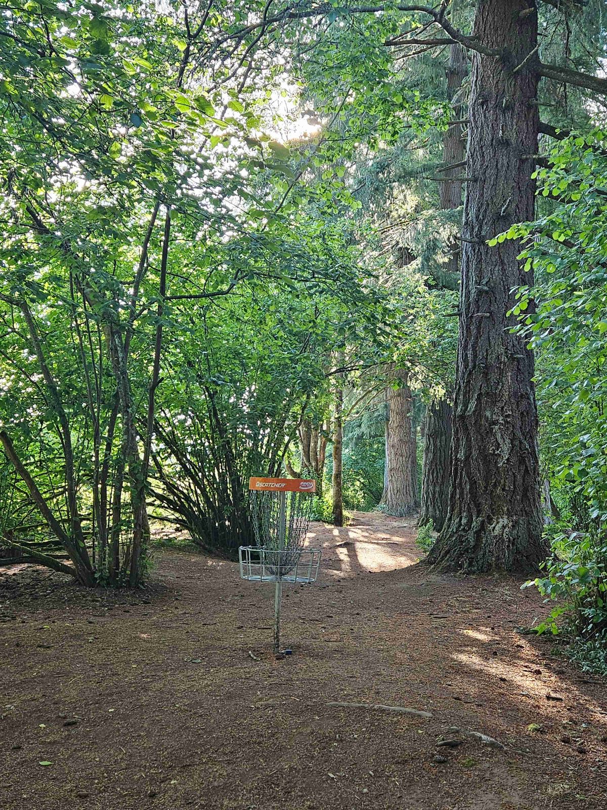 Hole 2 at Hockinson Meadows - a narrow fairway between the trees
