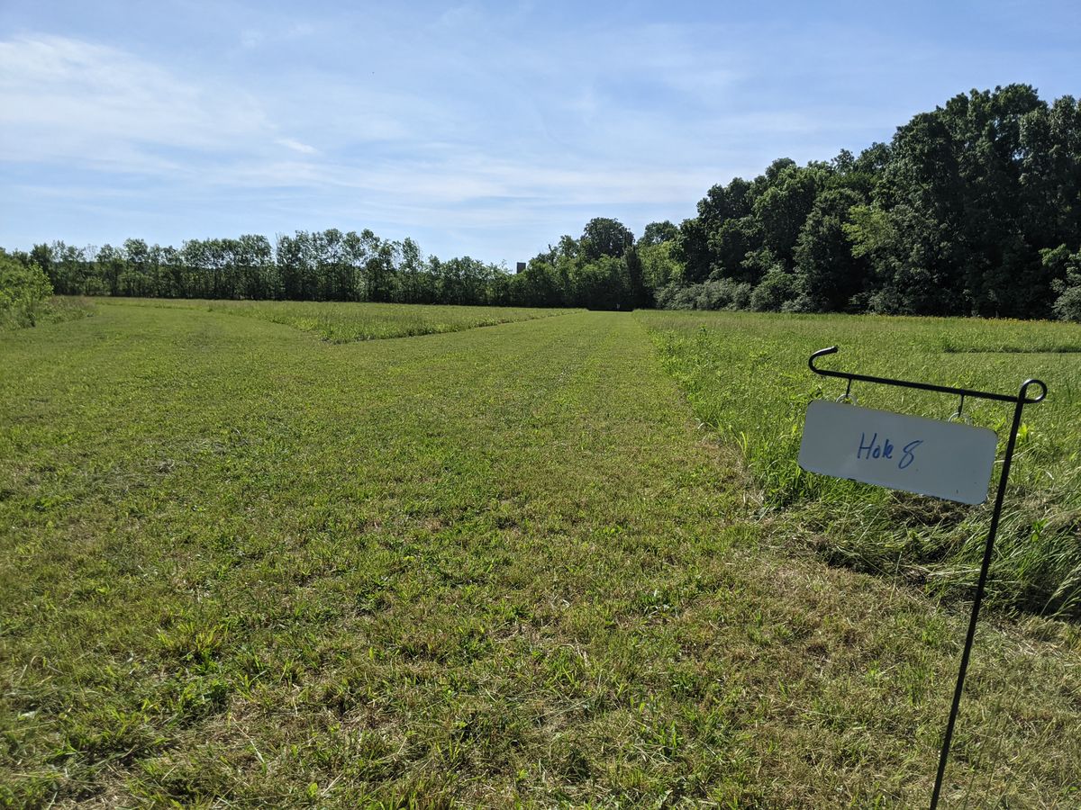 Hole 8