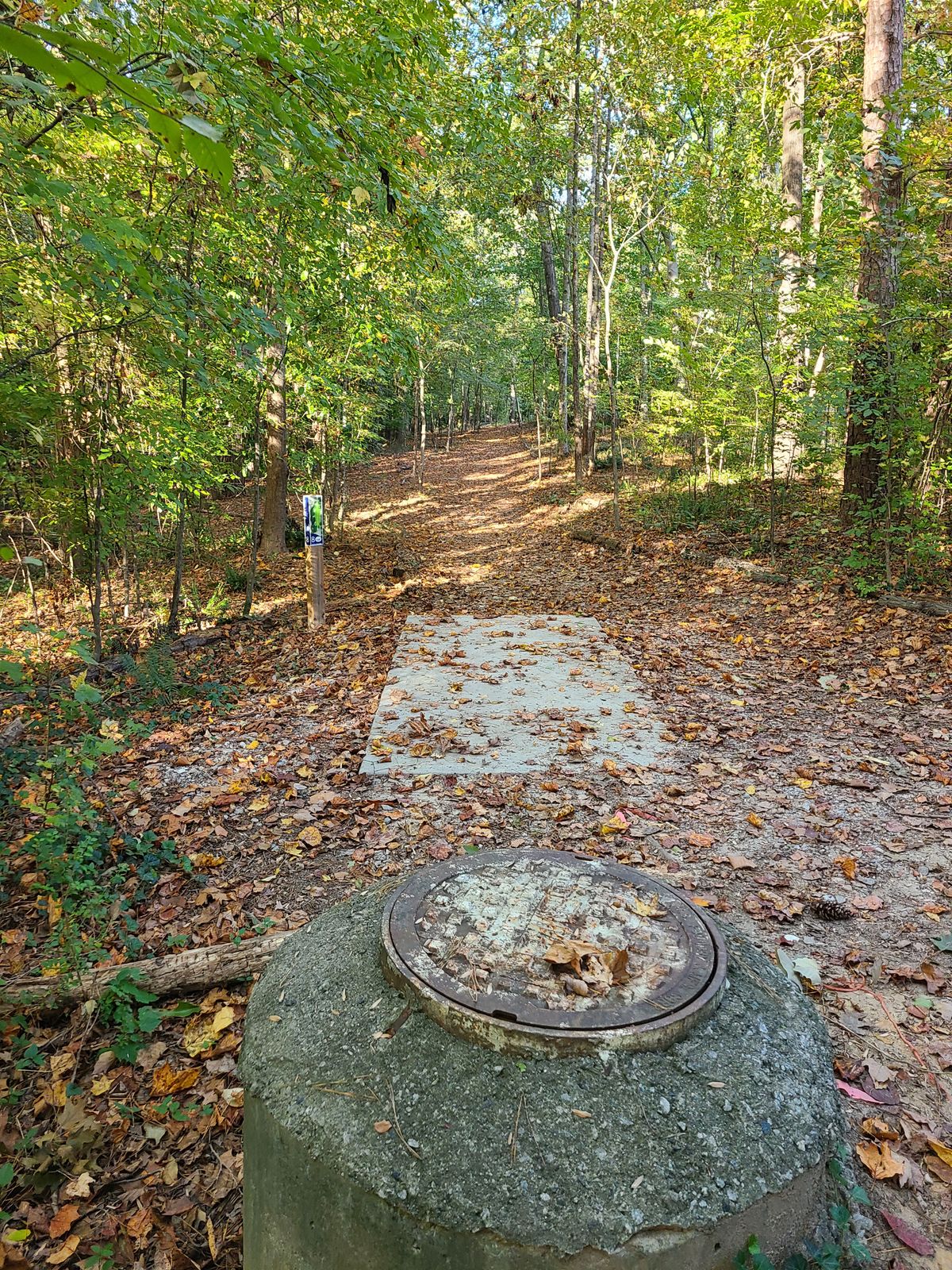 Hole 8