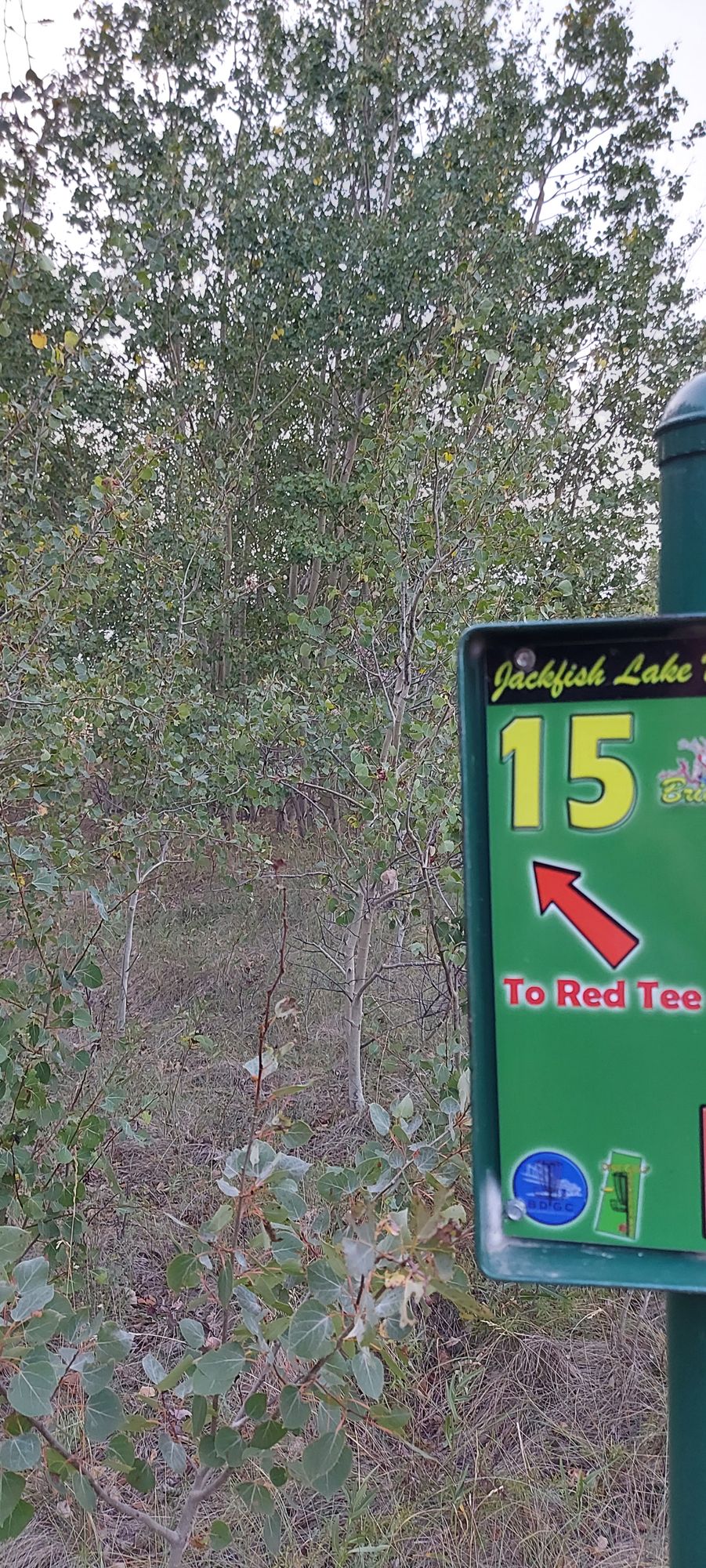 Hole sign #15.🍂🌴🌳🌴🌳🍂