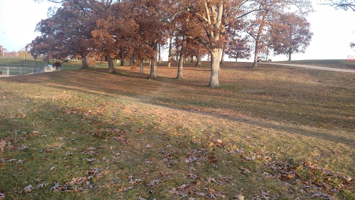 Hole #1 Tee. Basket strait ahead, up the hill, behind the trees.
