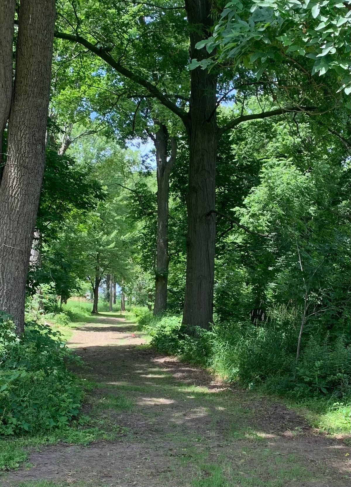 Hole 17 long tee