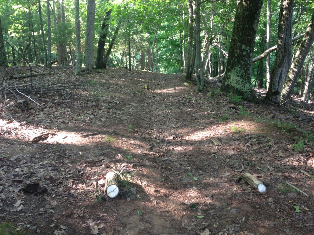 Hole 11
