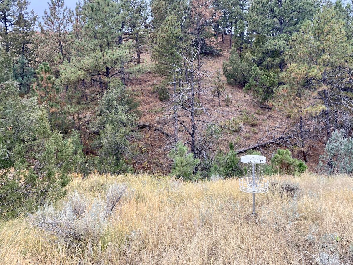 Hole 17 A pin