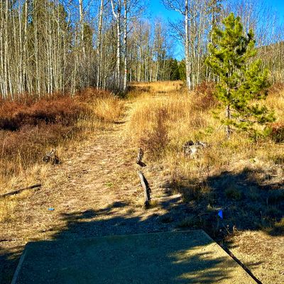 160’ through the gap then hard left.