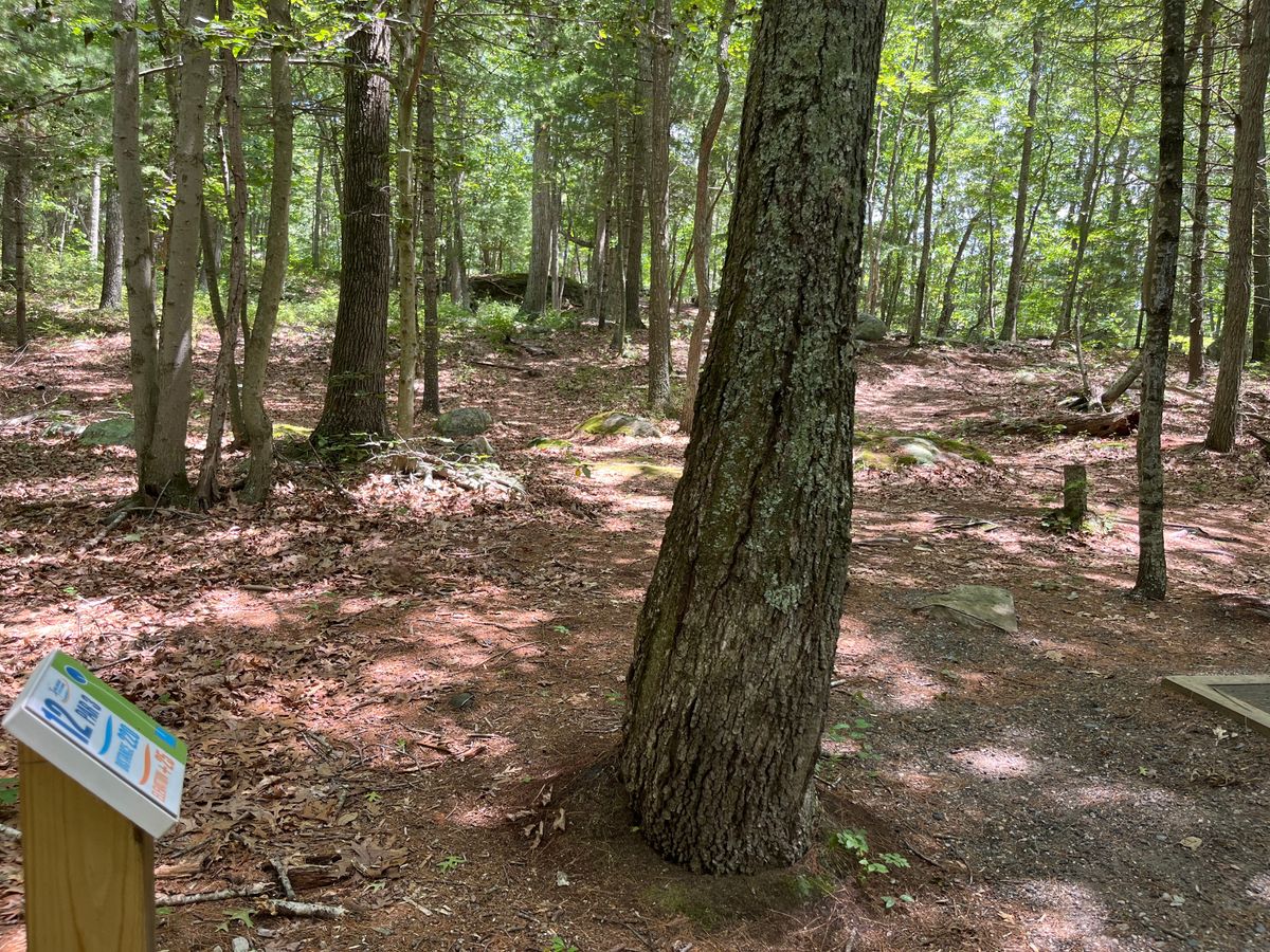 Hole 12