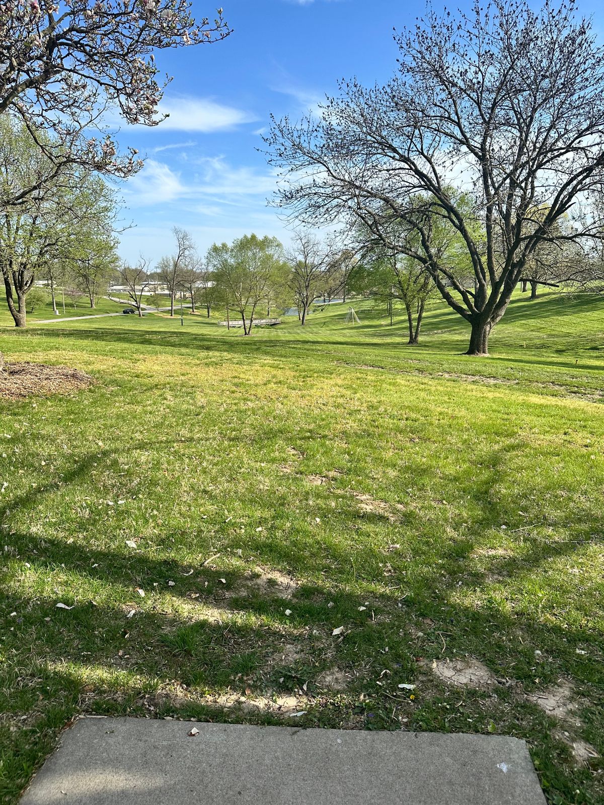 Hole 8 from tee pad