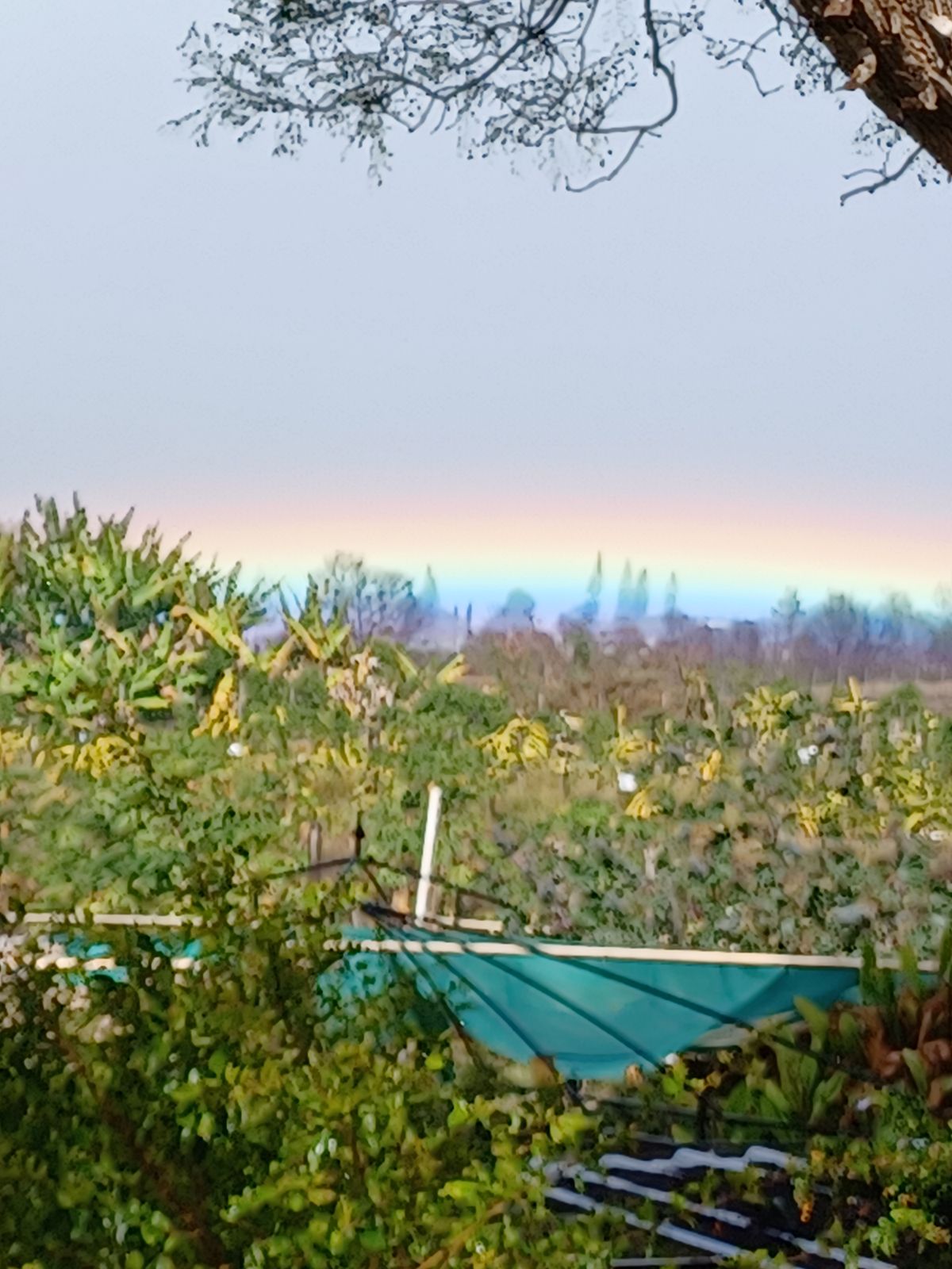 Horizon rainbow🌈