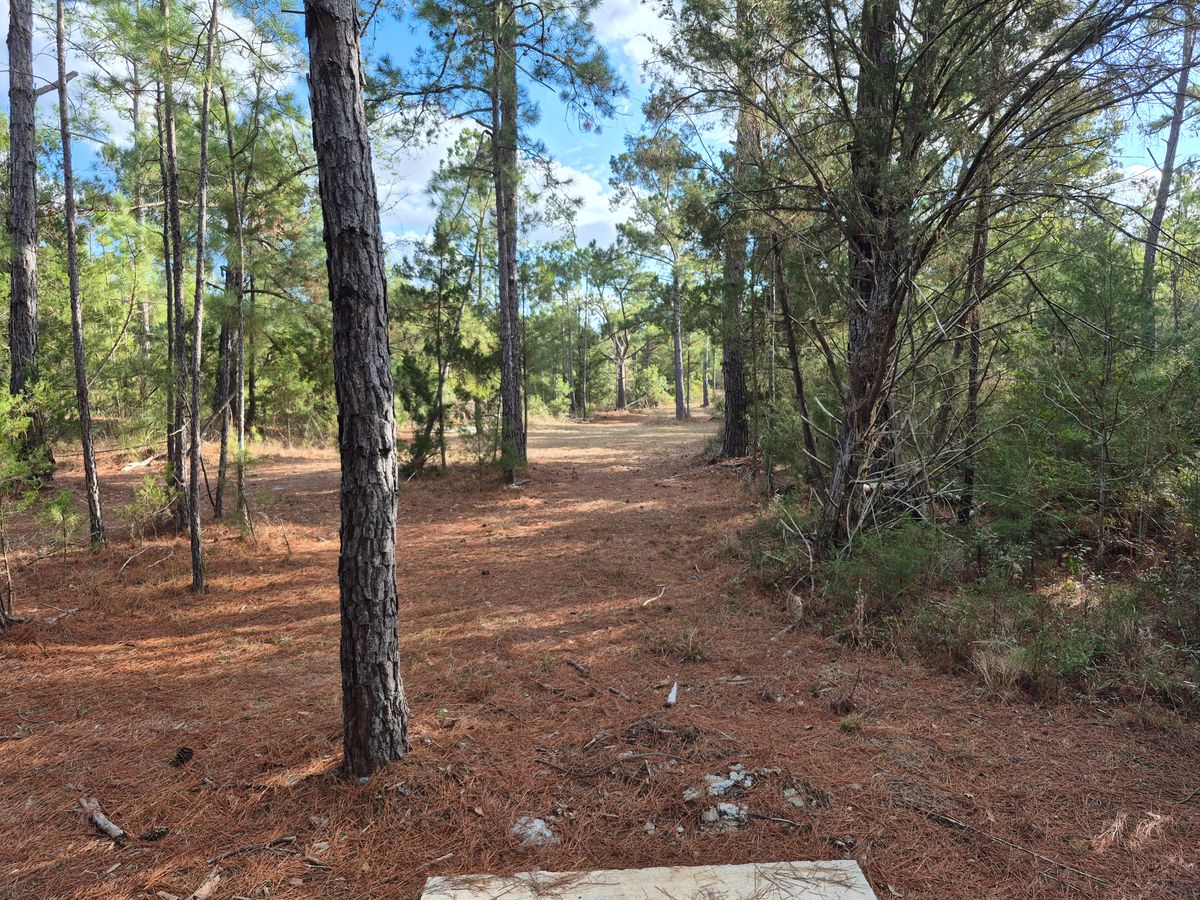 Hole 17 long pad