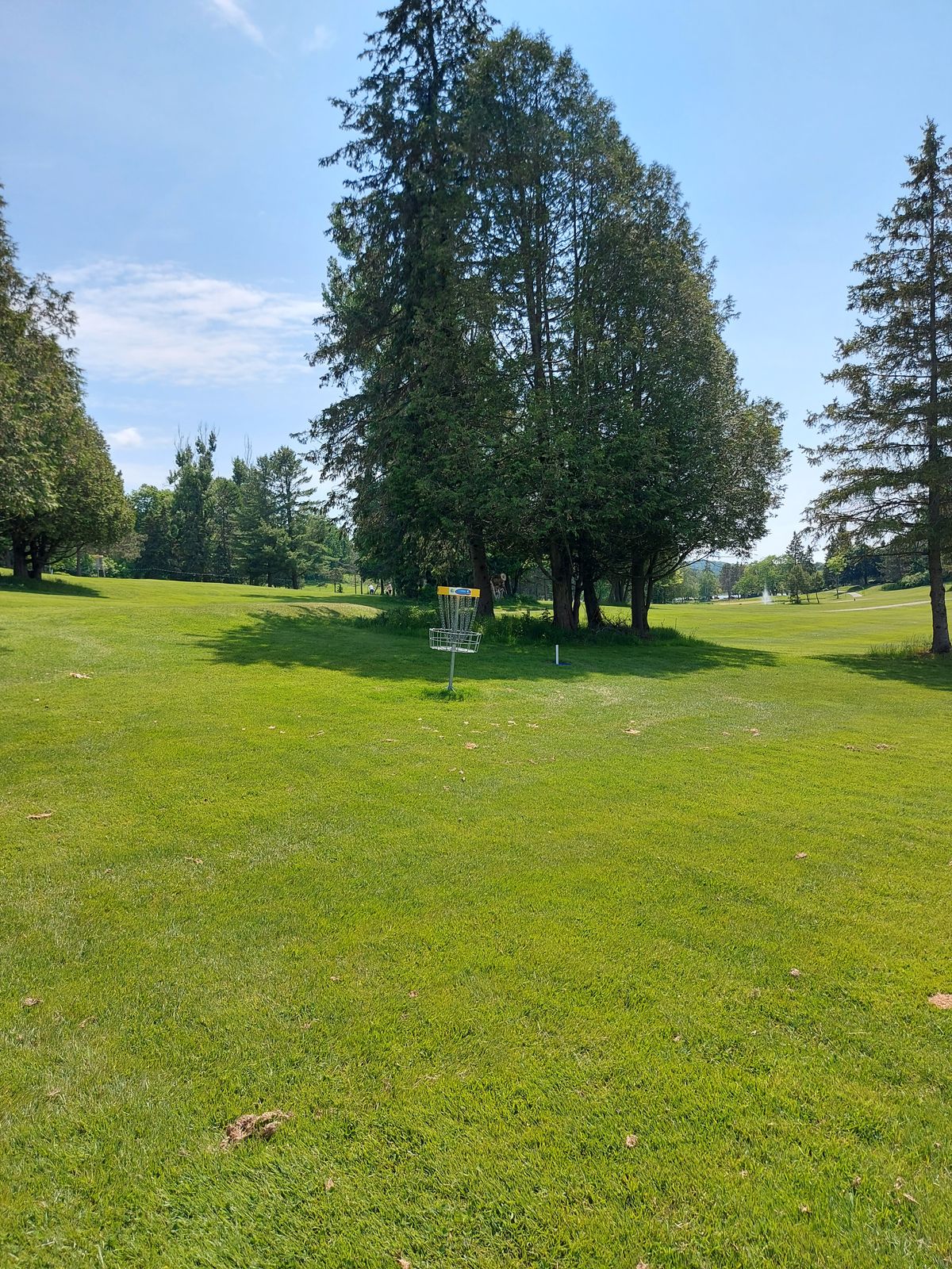 Short upshot on hole 4🌲🍁🌲🍁🌲🍁