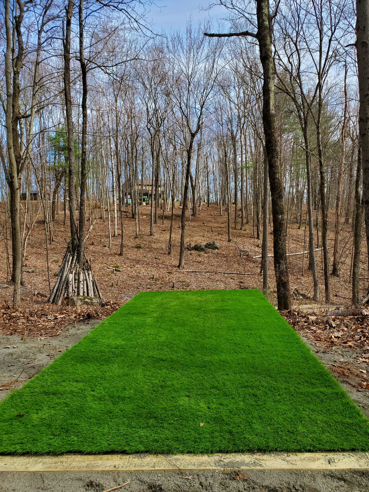 Hole 14 tee