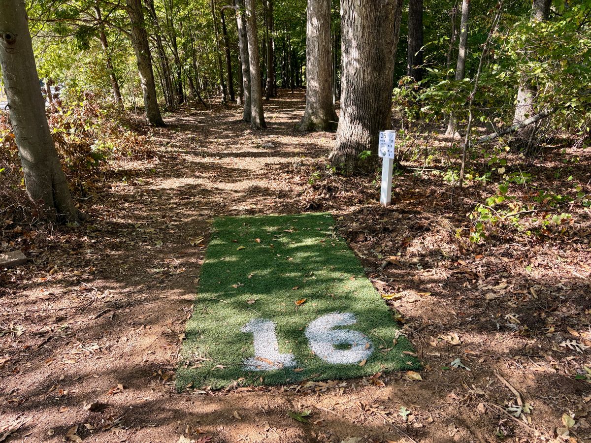 Hole 16 tee