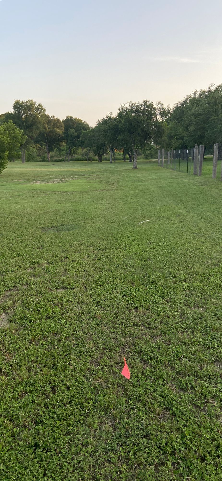 Hole 2 tee