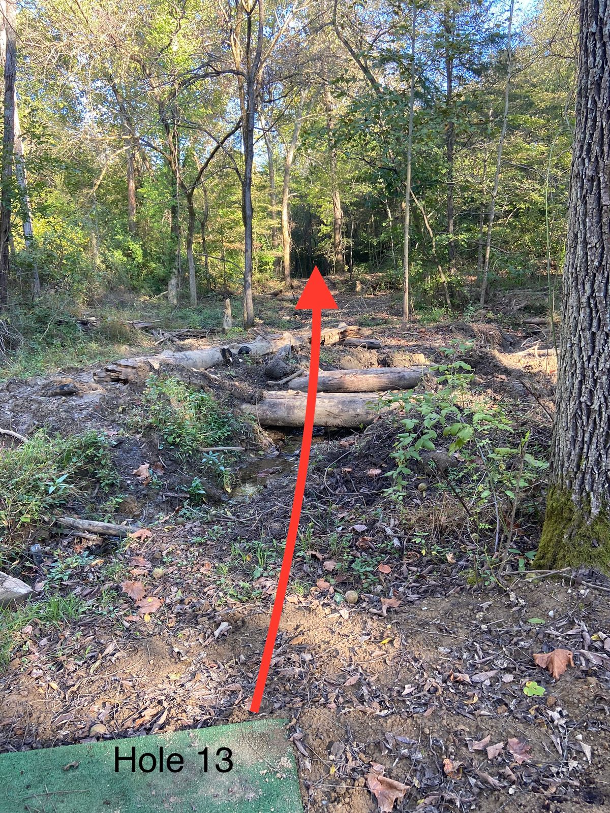 Hole 13